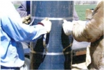 Dewatering20 Rosencrantz-Bemis & Darling Drilling.jpg