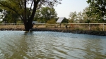 Solar Pumps 2 Rosencrantz-Bemis & Darling Drilling.jpg